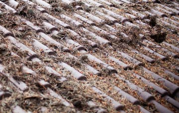 Grayingham roof cleaning companies